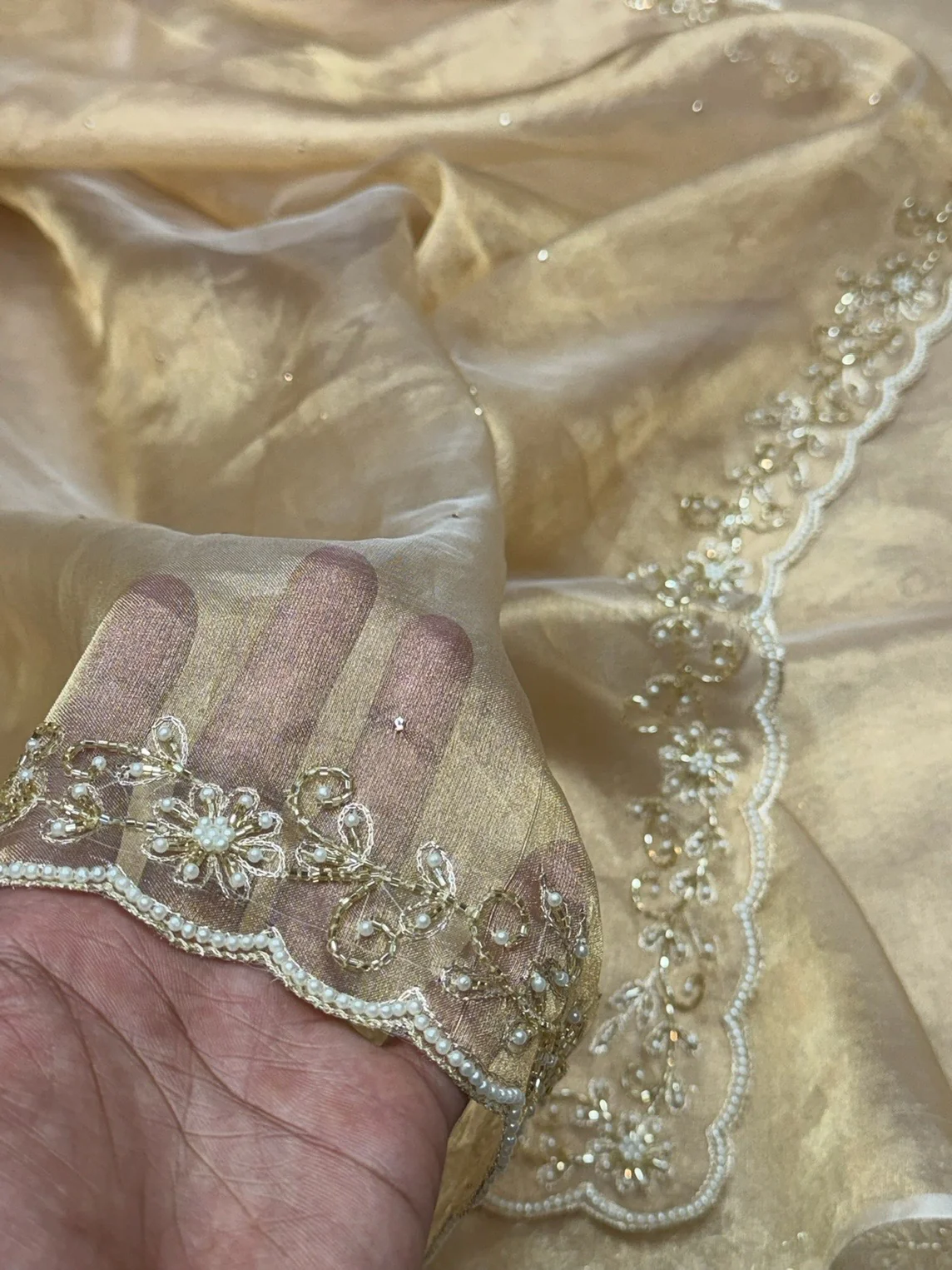 Champagne Gold Pure Banarasi Tissue Hand Embroidery | Pure Kora Tissue | Cutwork Technique | Lightweight Banarasi Saree - Image 2