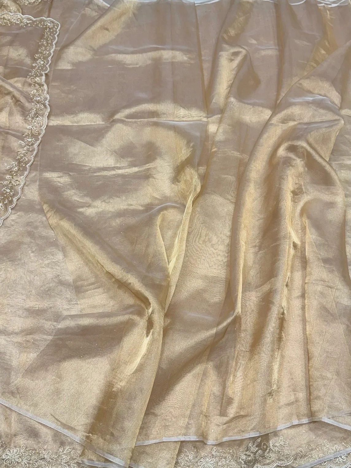 Champagne Gold Pure Banarasi Tissue Hand Embroidery | Pure Kora Tissue | Cutwork Technique | Lightweight Banarasi Saree - Image 3