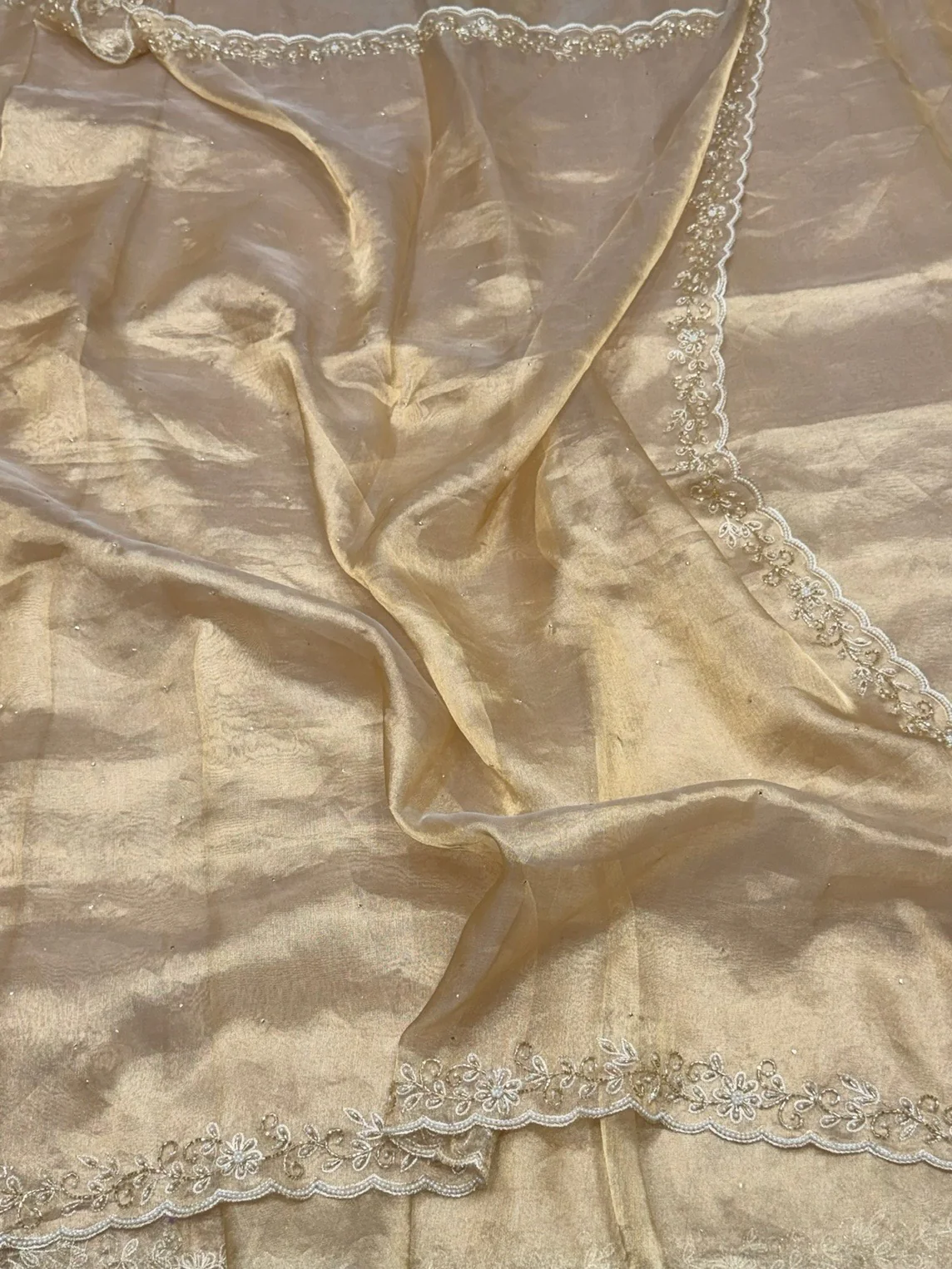 Champagne Gold Pure Banarasi Tissue Hand Embroidery | Pure Kora Tissue | Cutwork Technique | Lightweight Banarasi Saree - Image 4